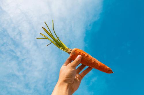 /img/carrot.jpg